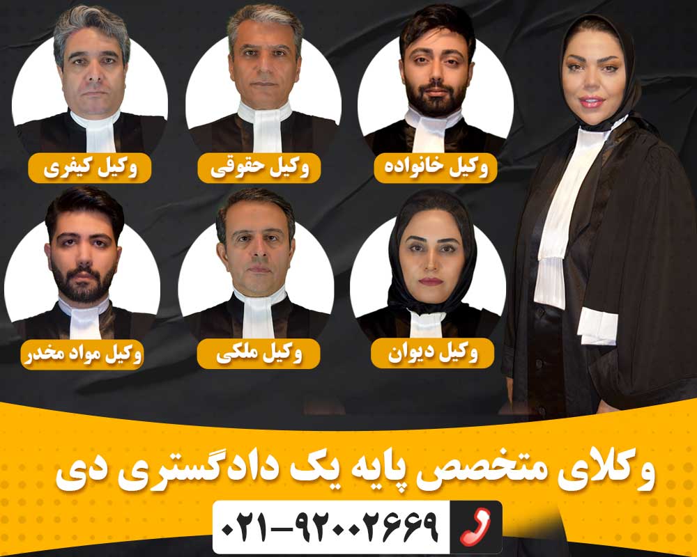 وکلای موسسه حقوقی دی