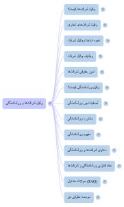 وکیل شرکت ها